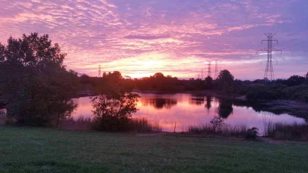 Gorney Park Village of Caledonia